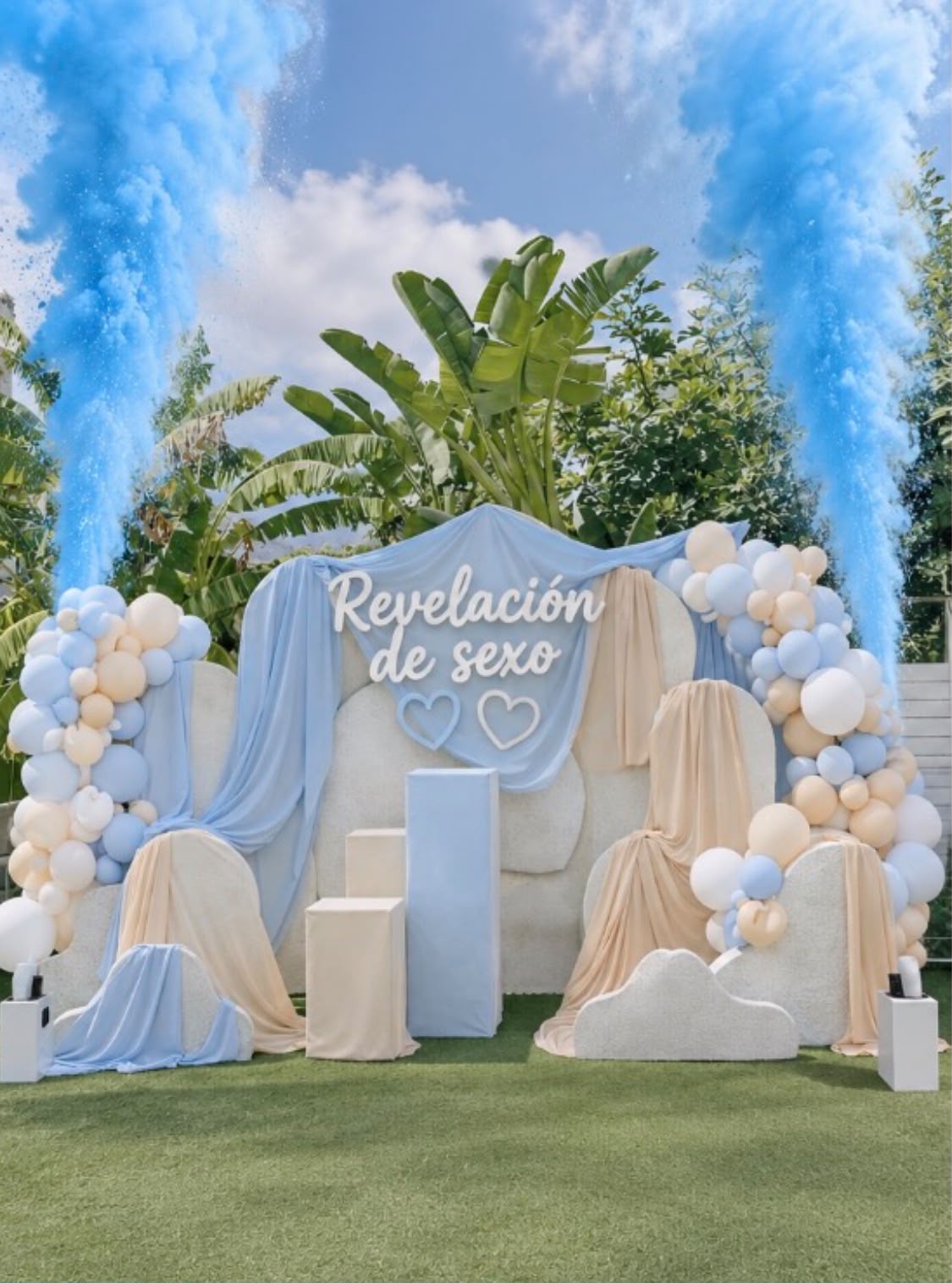 Decoración reciente para revelación de sexo del bebé